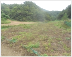  2024Ÿ32394    ȱ 773      (1)