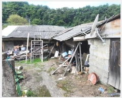  2024Ÿ32479     344-7      ()