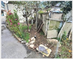  2024Ÿ32479     344-7      ()