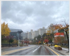  2024Ÿ��32813 ���� �¹�� û�ֱ� 8, 106�� 5��501ȣ (Ȳ����,�¹�Ȳ��û�־���Ʈ)    ����Ʈ���