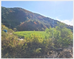  2024Ÿ��32844 ���� ������ ������ ��ź�� 746      ����(��1)���