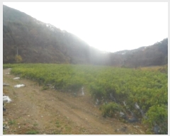  2024Ÿ��32844 ���� ������ ������ ��ź�� 746      ����(��1)���