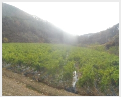  2024Ÿ��32844 ���� ������ ������ ��ź�� 746      ����(��1)���