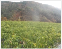  2024Ÿ��32844 ���� ������ ������ ��ź�� 746      ����(��1)���