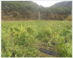  2024Ÿ��32844 ���� ������ ������ ��ź�� 746      ����(��1)���