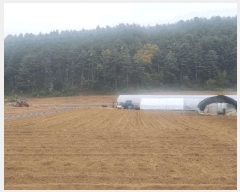  2024Ÿ32929  â θ ȣ 831-10      ()