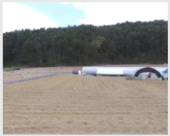  2024Ÿ32929  â θ ȣ 831-10      ()