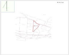  2024Ÿ32929  â θ ȣ 831-10      ()