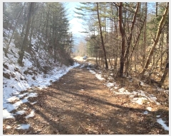  2024Ÿ��33229 ���� ��â�� ����� ��¸� ��141      ����(�Ӿ�)���