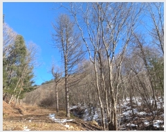  2024Ÿ��33229 ���� ��â�� ����� ��¸� ��141      ����(�Ӿ�)���