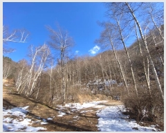  2024Ÿ��33229 ���� ��â�� ����� ��¸� ��141      ����(�Ӿ�)���