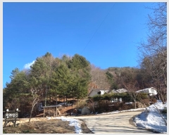  2024Ÿ��33229 ���� ��â�� ����� ��¸� ��141      ����(�Ӿ�)���