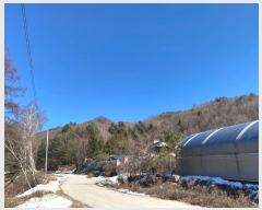  2024Ÿ��33229 ���� ��â�� ����� ��¸� ��141      ����(�Ӿ�)���