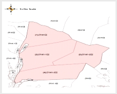  2024Ÿ��33229 ���� ��â�� ����� ��¸� ��141      ����(�Ӿ�)���