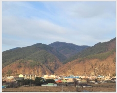  2024Ÿ33328    õ 172      (Ӿ)