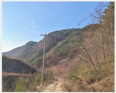  2024Ÿ33328    õ 172      (Ӿ)