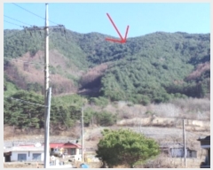  2024Ÿ33328    õ 172      (Ӿ)