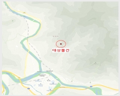  2024Ÿ33328    õ 172      (Ӿ)