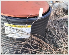  2024Ÿ��33380  �Ӿ߰��