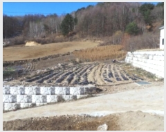  2024Ÿ��33380  �Ӿ߰��