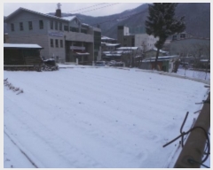  2024Ÿ33595  ¹ Ȳ 254-1       ()