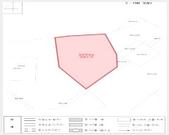  2024Ÿ33595  ¹ Ȳ 254-1       ()