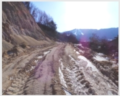  2024Ÿ33625  â  ̸ 838-85      ()