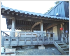  2024Ÿ33625  â ɸ õ 117      ٸü,󰡰