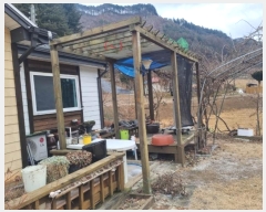  2024Ÿ��33649  ���ð��