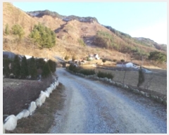  2024Ÿ��33649  ���ð��