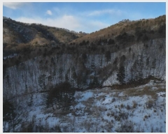  2024Ÿ33755  â  ¸ 141-4      (Ӿ)