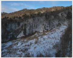  2024Ÿ33755  â  ¸ 141-4      (Ӿ)