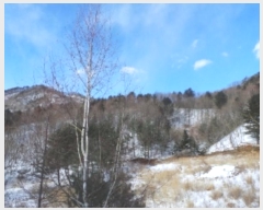  2024Ÿ33755  â  ¸ 141-4      (Ӿ)