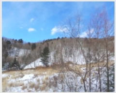  2024Ÿ33755  â  ¸ 141-4      (Ӿ)