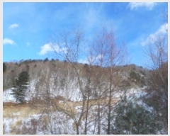  2024Ÿ33755  â  ¸ 141-4      (Ӿ)