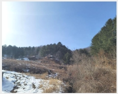  2024Ÿ��205 ���� ��â�� ����� ������ ��20-6      ����(�Ӿ�)���