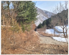  2024Ÿ��205 ���� ��â�� ����� ������ ��20-6      ����(�Ӿ�)���