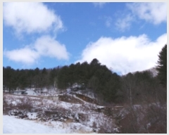  2024Ÿ��205 ���� ��â�� ����� ������ ��20-6      ����(�Ӿ�)���