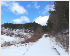  2024Ÿ��205 ���� ��â�� ����� ������ ��20-6      ����(�Ӿ�)���