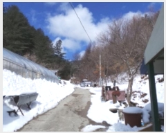  2024Ÿ��205 ���� ��â�� ����� ������ ��20-6      ����(�Ӿ�)���