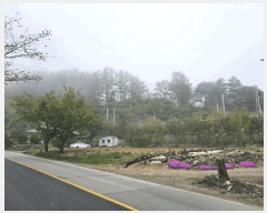  2024Ÿ489  ¹ Ȳ 270-42       ()