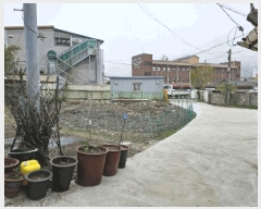  2024Ÿ489  ¹ Ȳ 254-20       ()