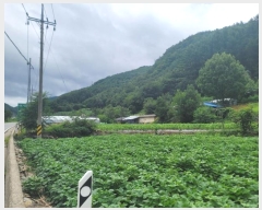  2024Ÿ1444   ָ  565      (1)