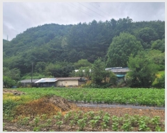  2024Ÿ1444   ָ  565      (1)