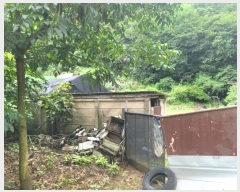  2024Ÿ1444   ָ  565      (1)