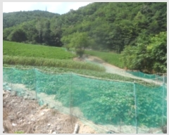  2024Ÿ1444   ָ  565      (1)