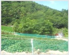  2024Ÿ1444   ָ  565      (1)