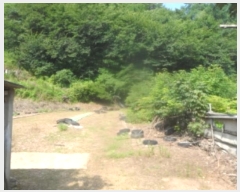  2024Ÿ1444   ָ  565      (1)