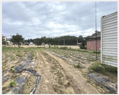  2024Ÿ��1666 ���� ��â�� ����ɸ� ���׸� 54-3      �ܵ�����,�����ð��