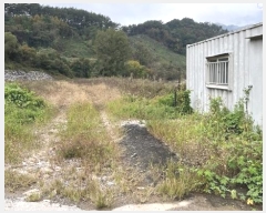  2024Ÿ��1741  �����